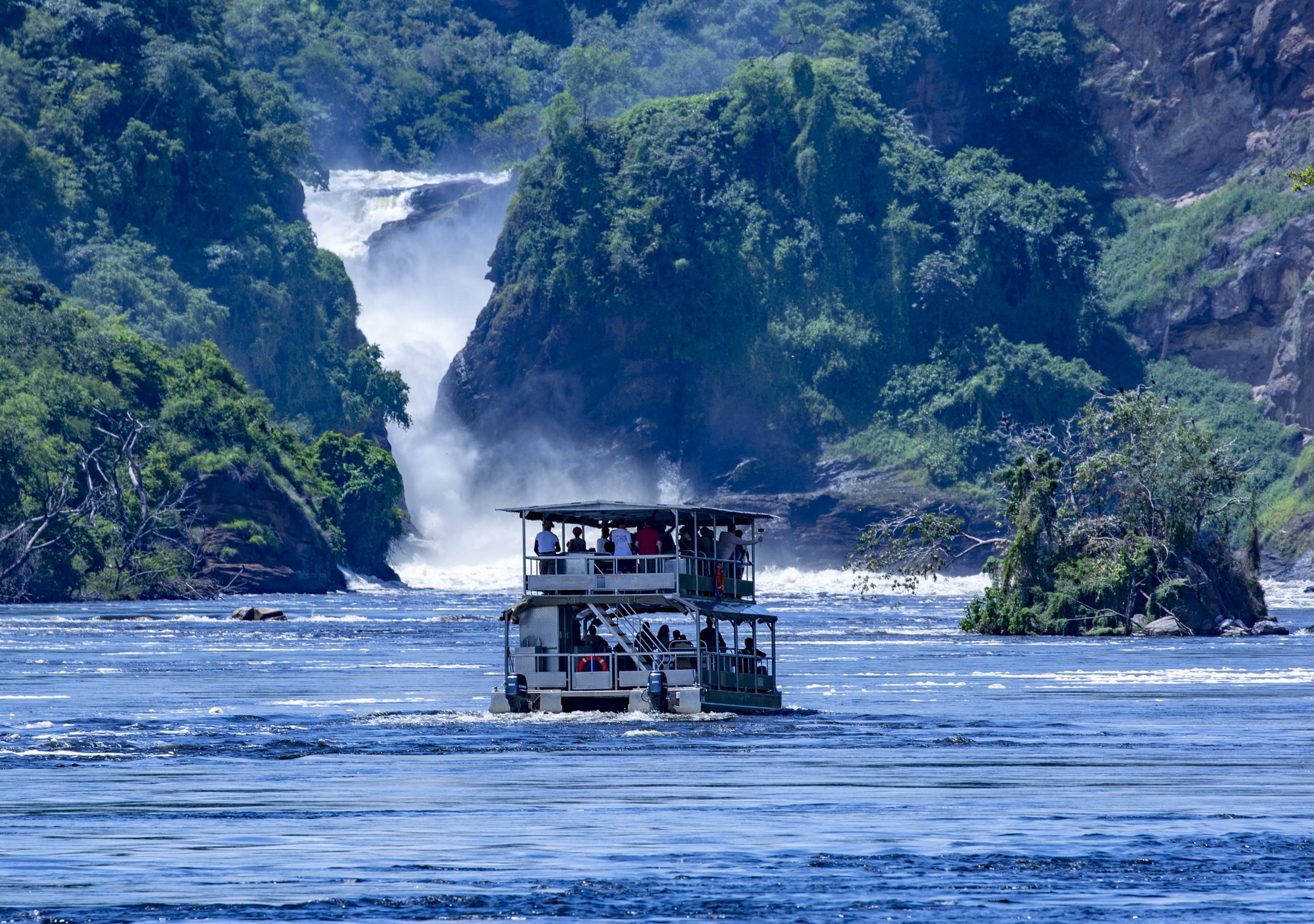 Uganda Wildlife Highlights